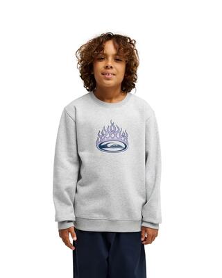 Sweater graphic grau jongens 8-16