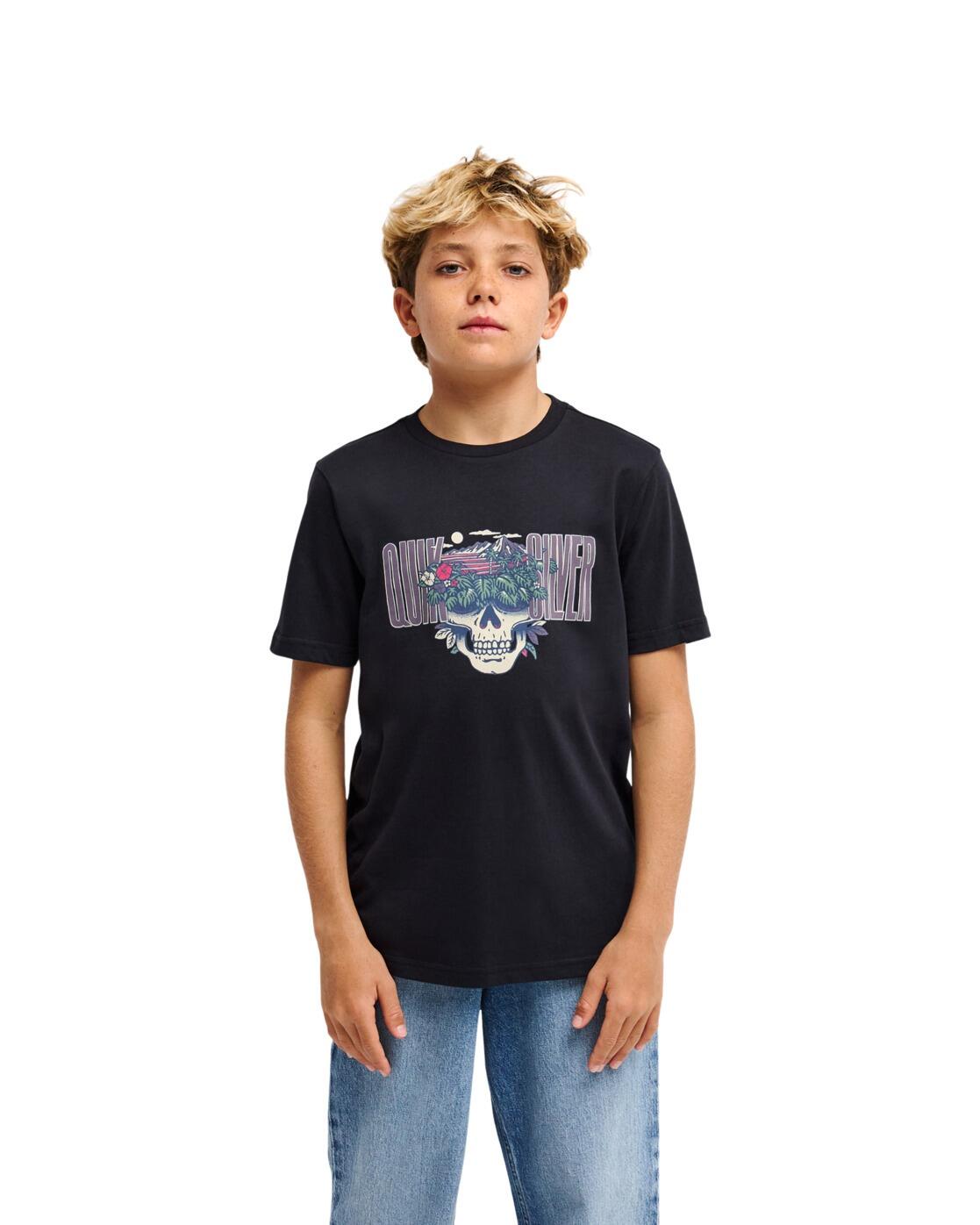 QUIKSILVER picture