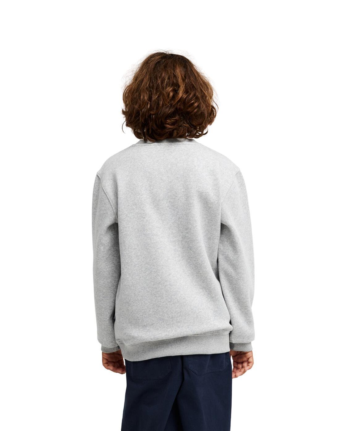 Sweater GRAPHIC Grau Jongens 8-16 2/4
