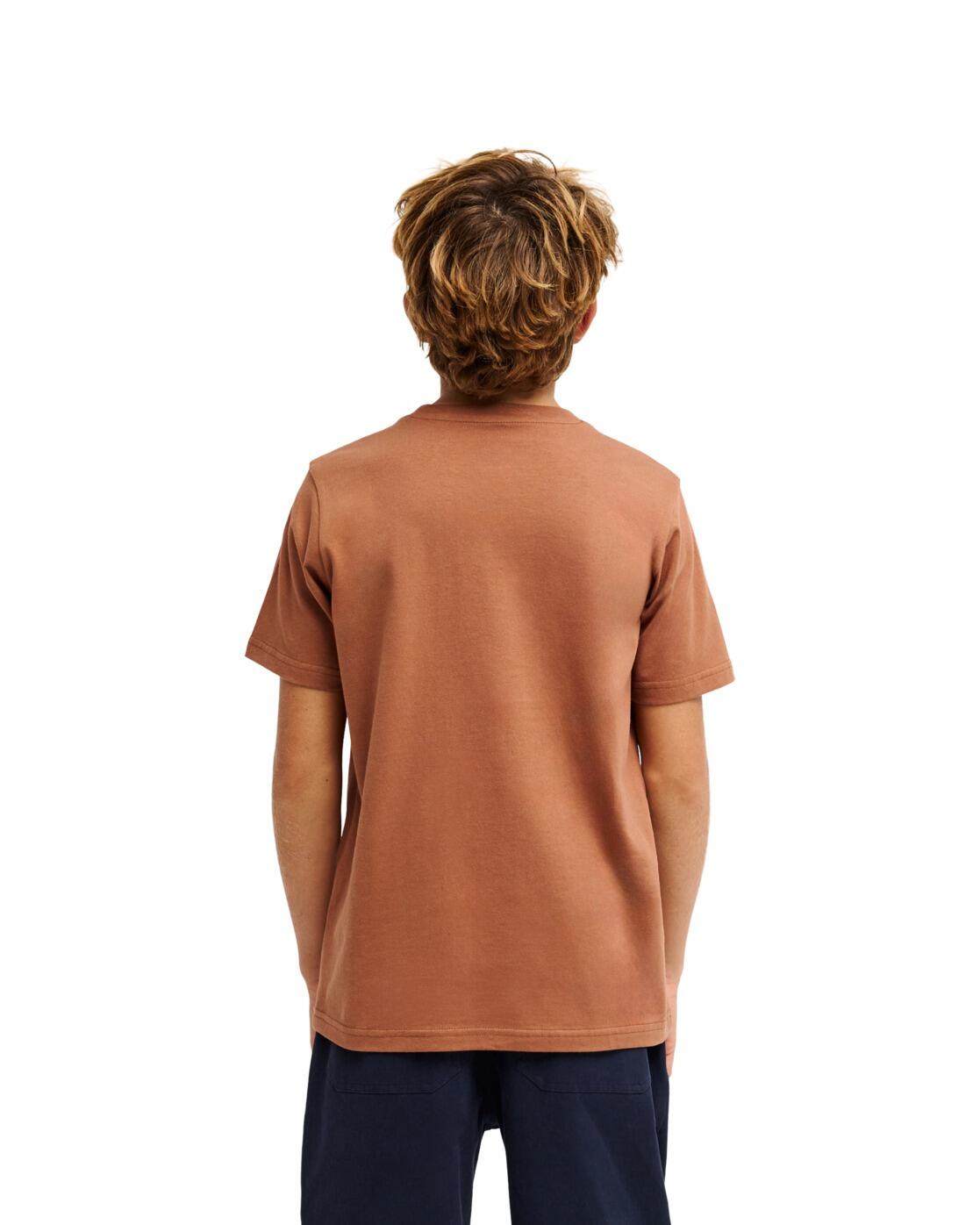 Camiseta de manga corta PARADISE POINT Y Marrón Niño 2/4