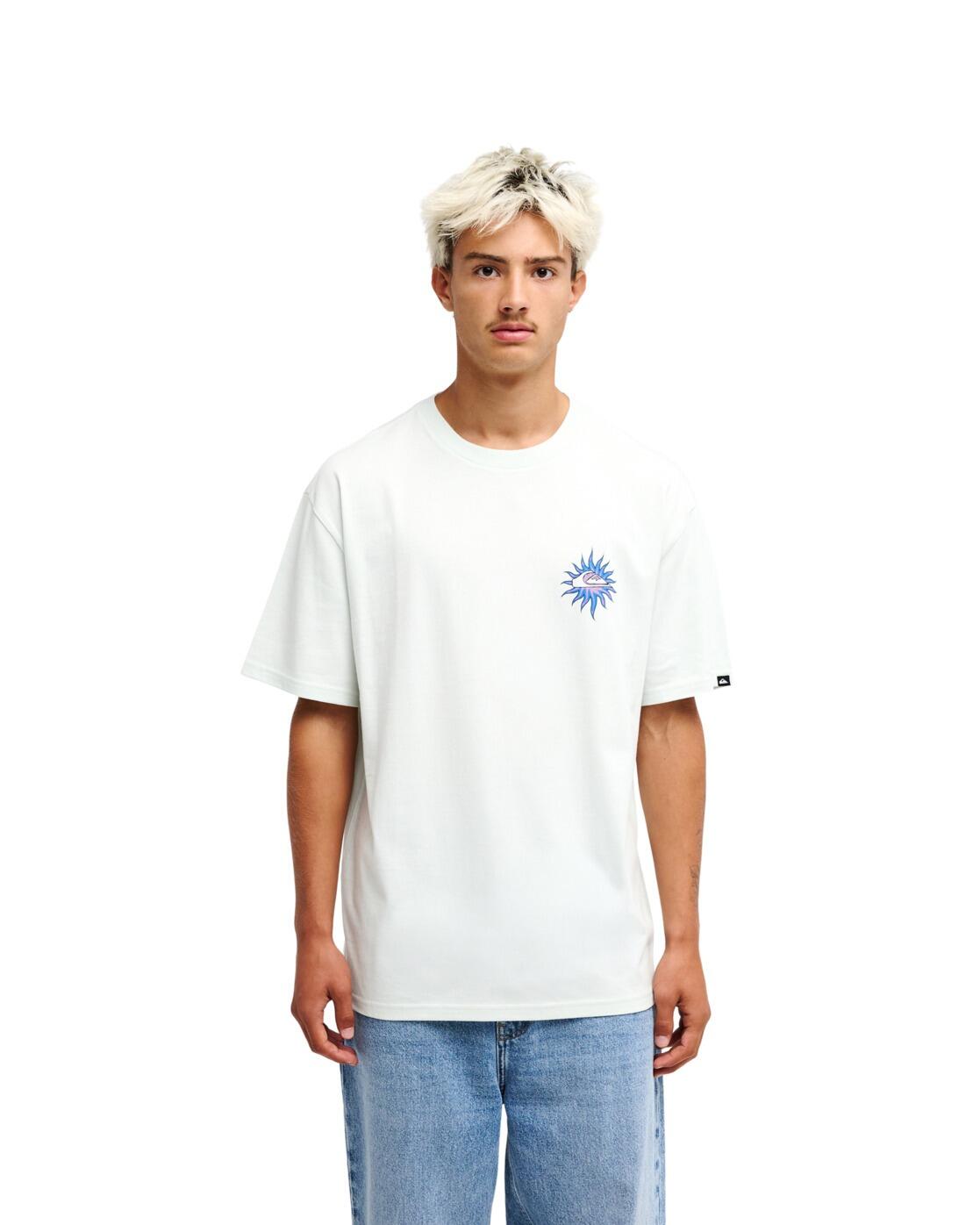 QUIKSILVER picture