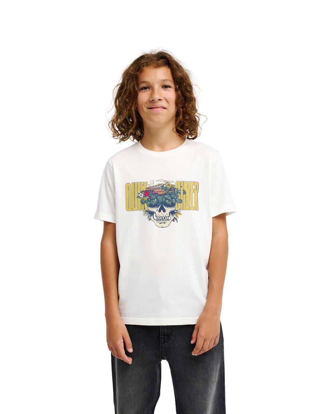 QUIKSILVER picture