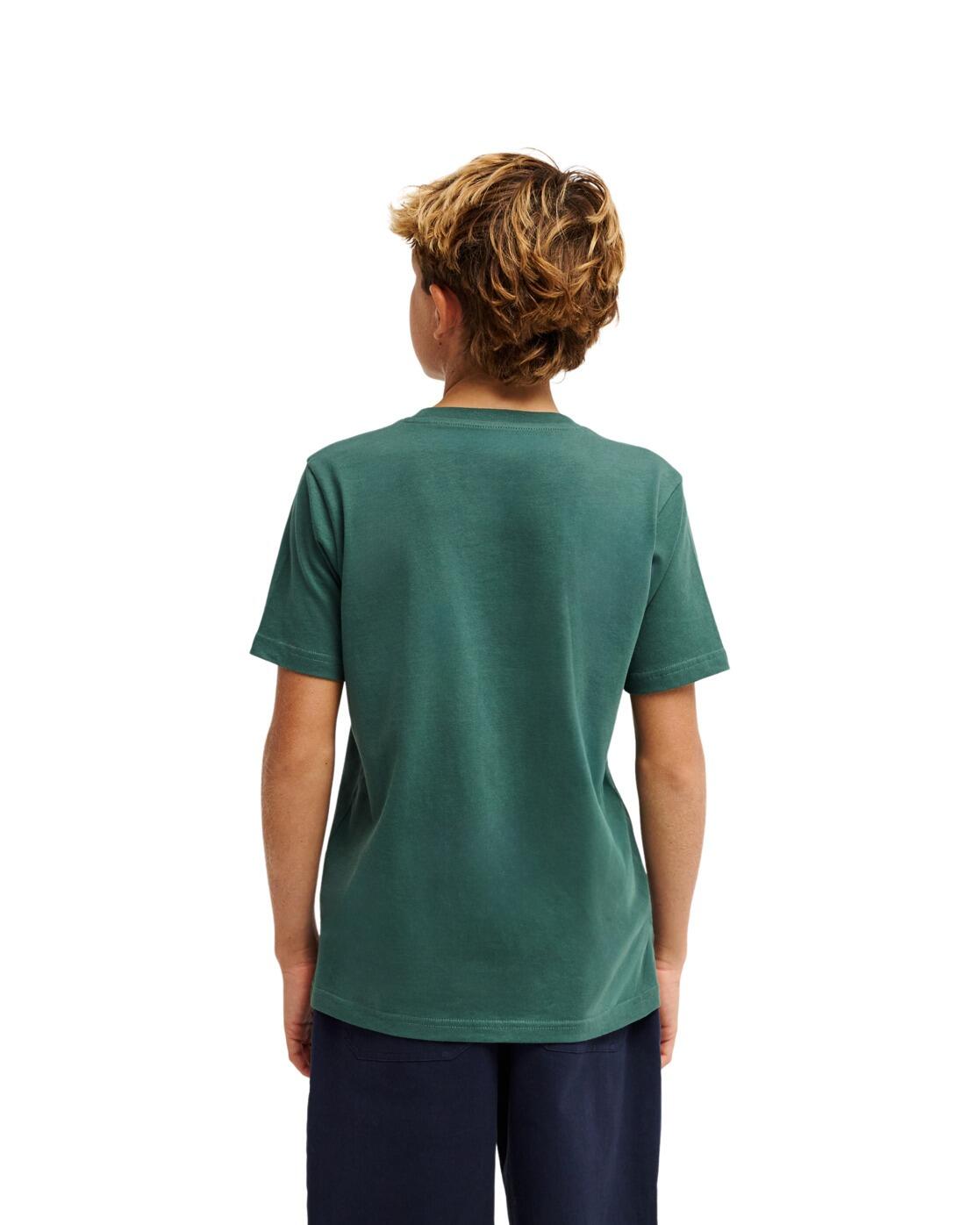 Camiseta de manga corta PARADISE POINT Y Verde Niño 2/4