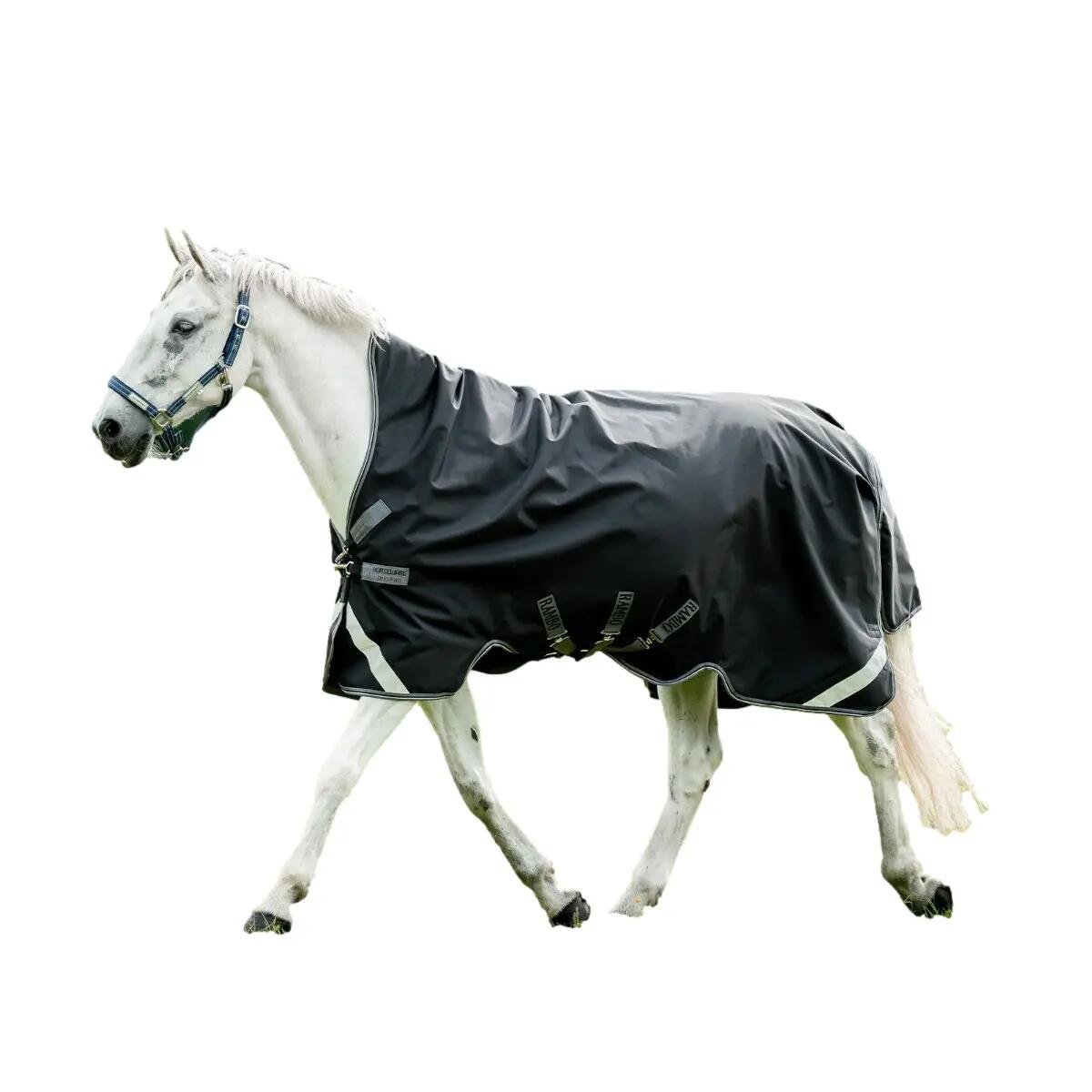 HORSEWARE IRELAND picture