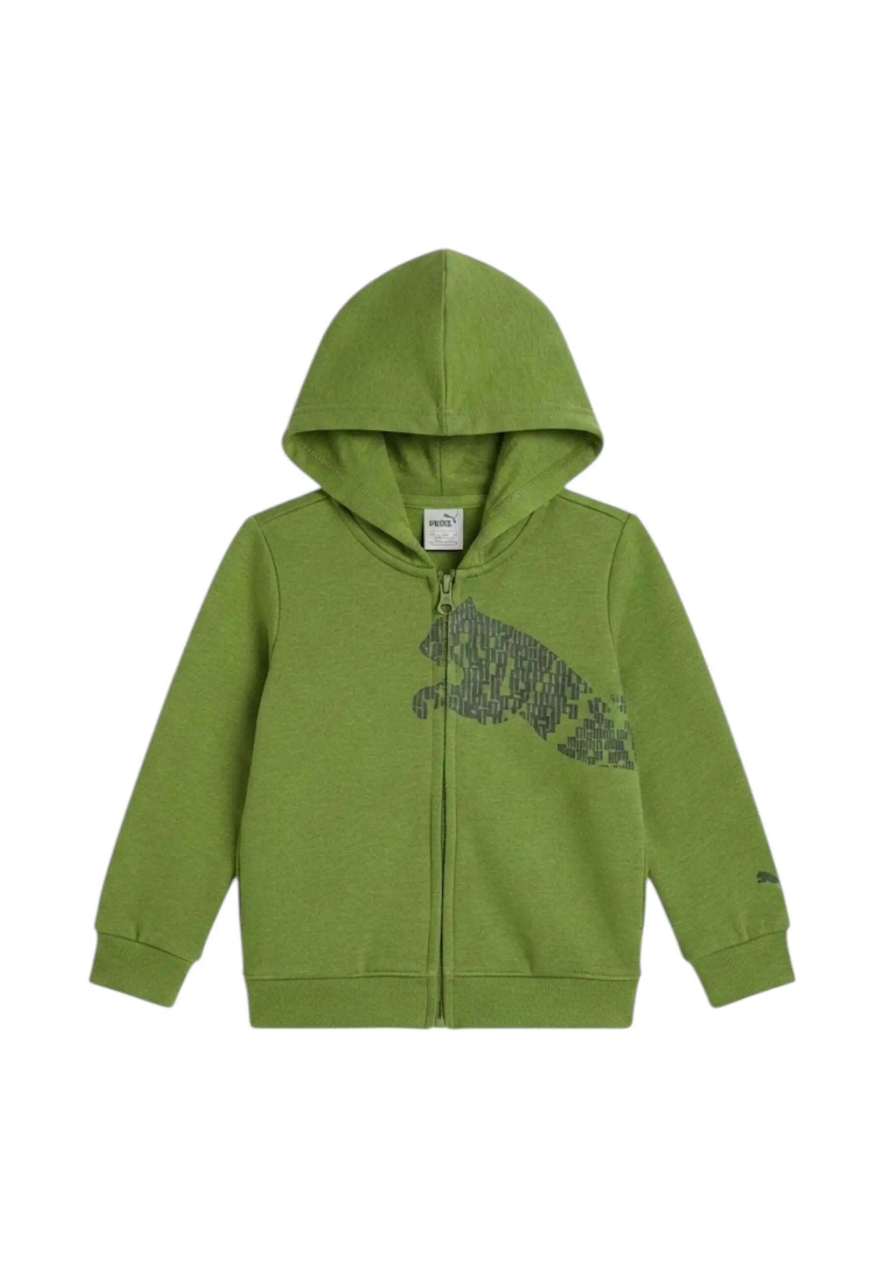 PUMA picture