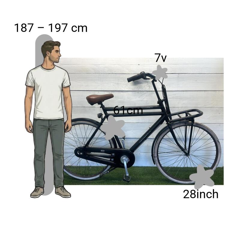 Bicicletta usata Sparta Pick-Up 2/4