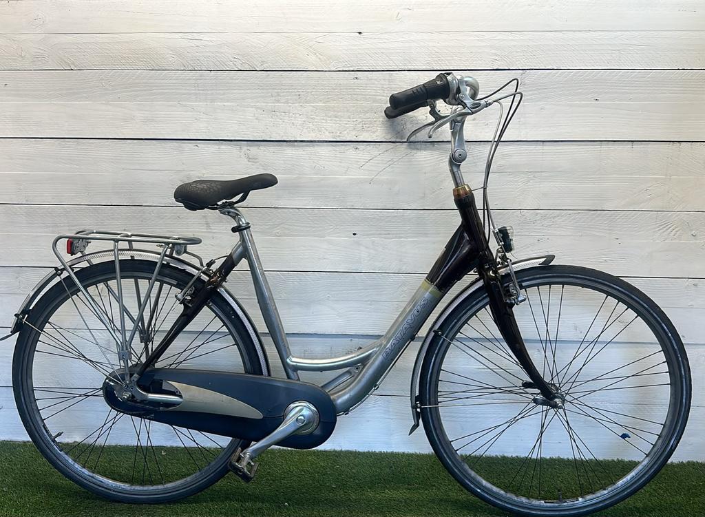 BATAVUS picture