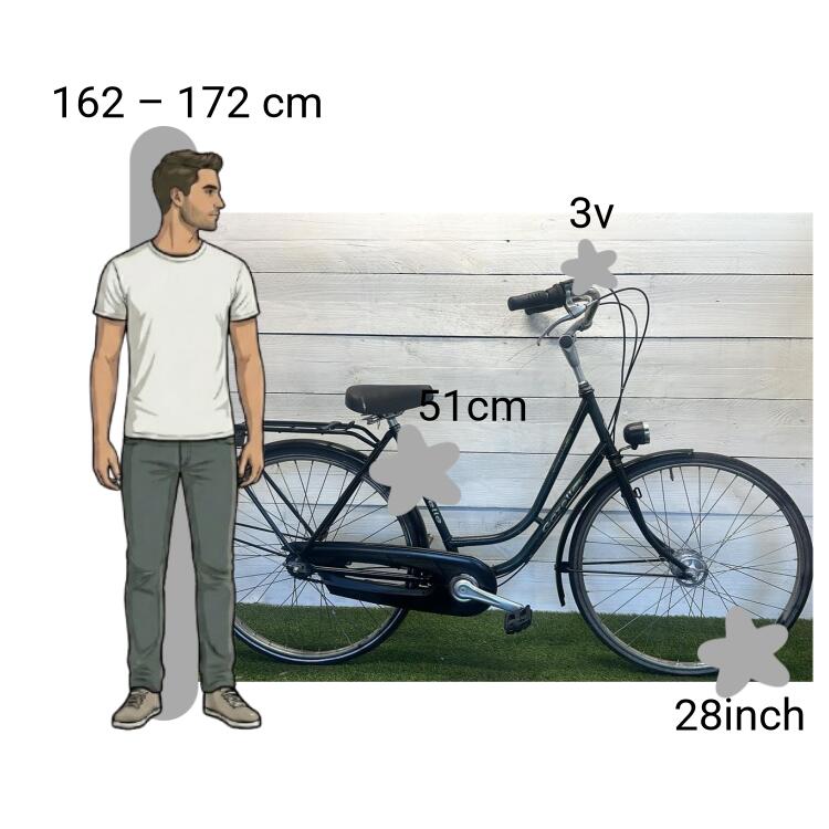 Bicicletta usata Gazelle Impala 2/4