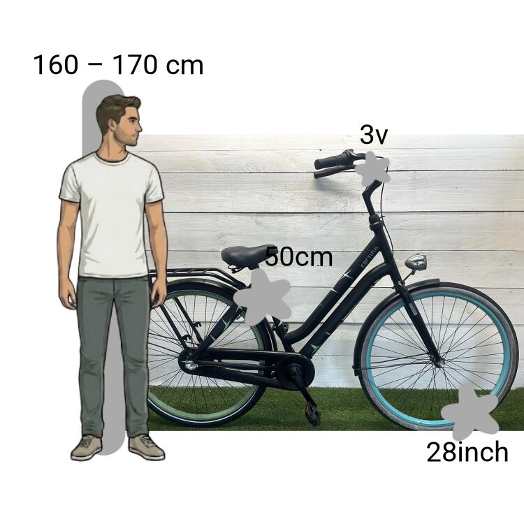 Bicicletta usata Cortina 2/4