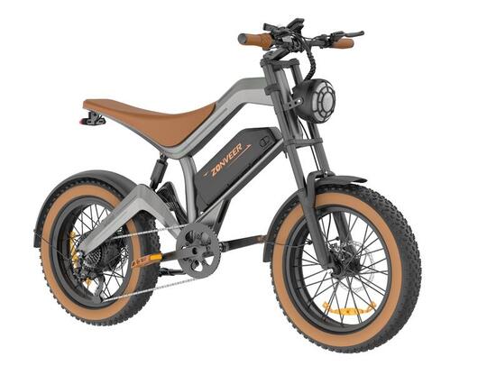 Vélo électrique ZONVEER M20 250 W – Batterie 48 V 18,2 Ah, 250 W