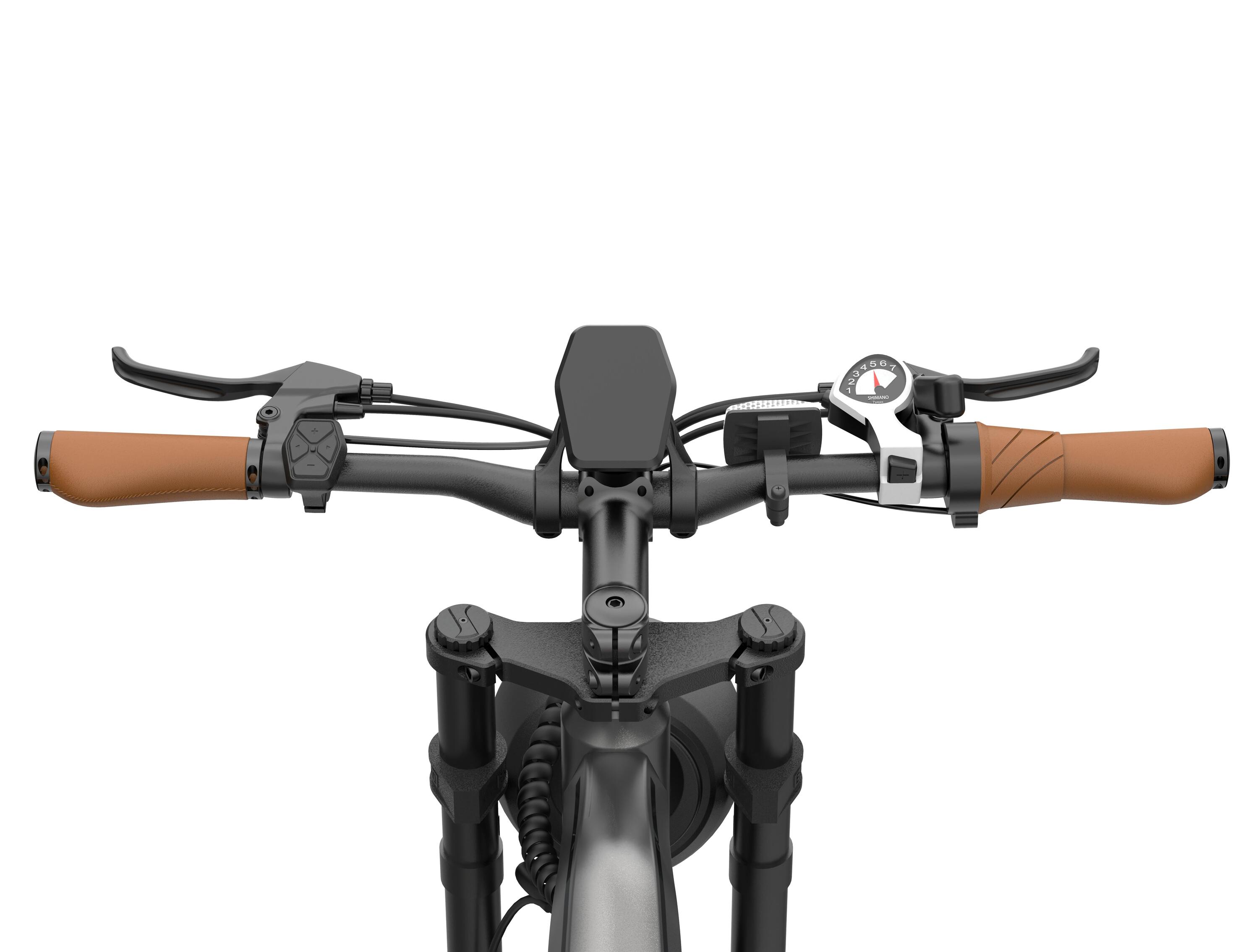 DYU M20 elektrische fiets voor volwassenen – dikke banden, schijfremmen 9/15