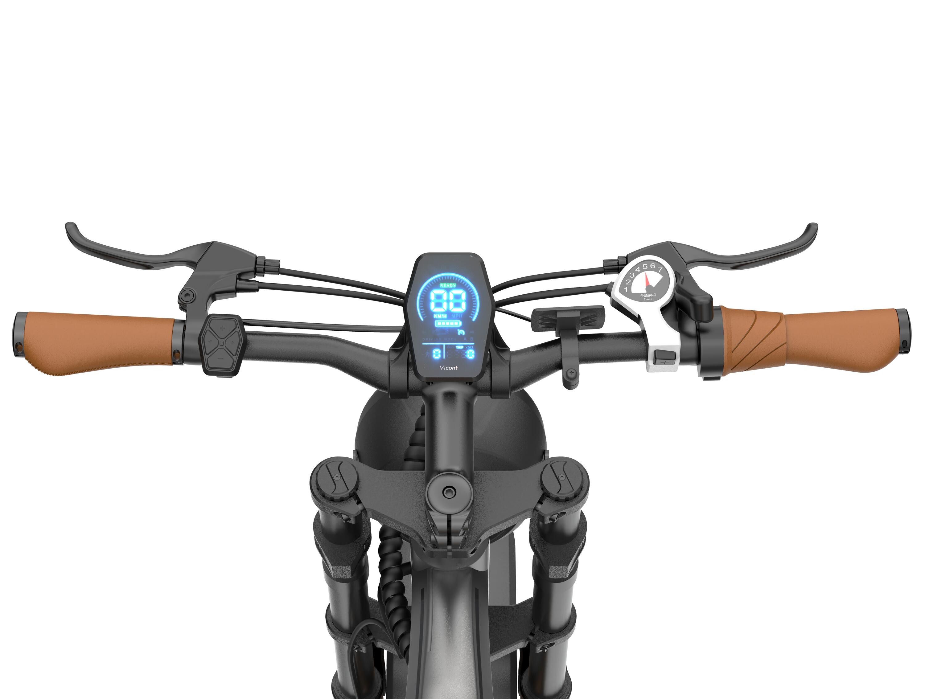 DYU M20 250-W-E-Bike – 48-V-18,2-Ah-Akku, 250 W 8/15
