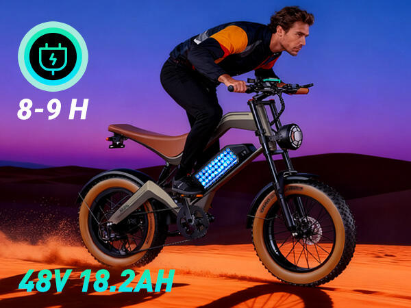 DYU M20 elektrische fiets – actieradius van 60 km, 4,0-inch fat-banden 13/15