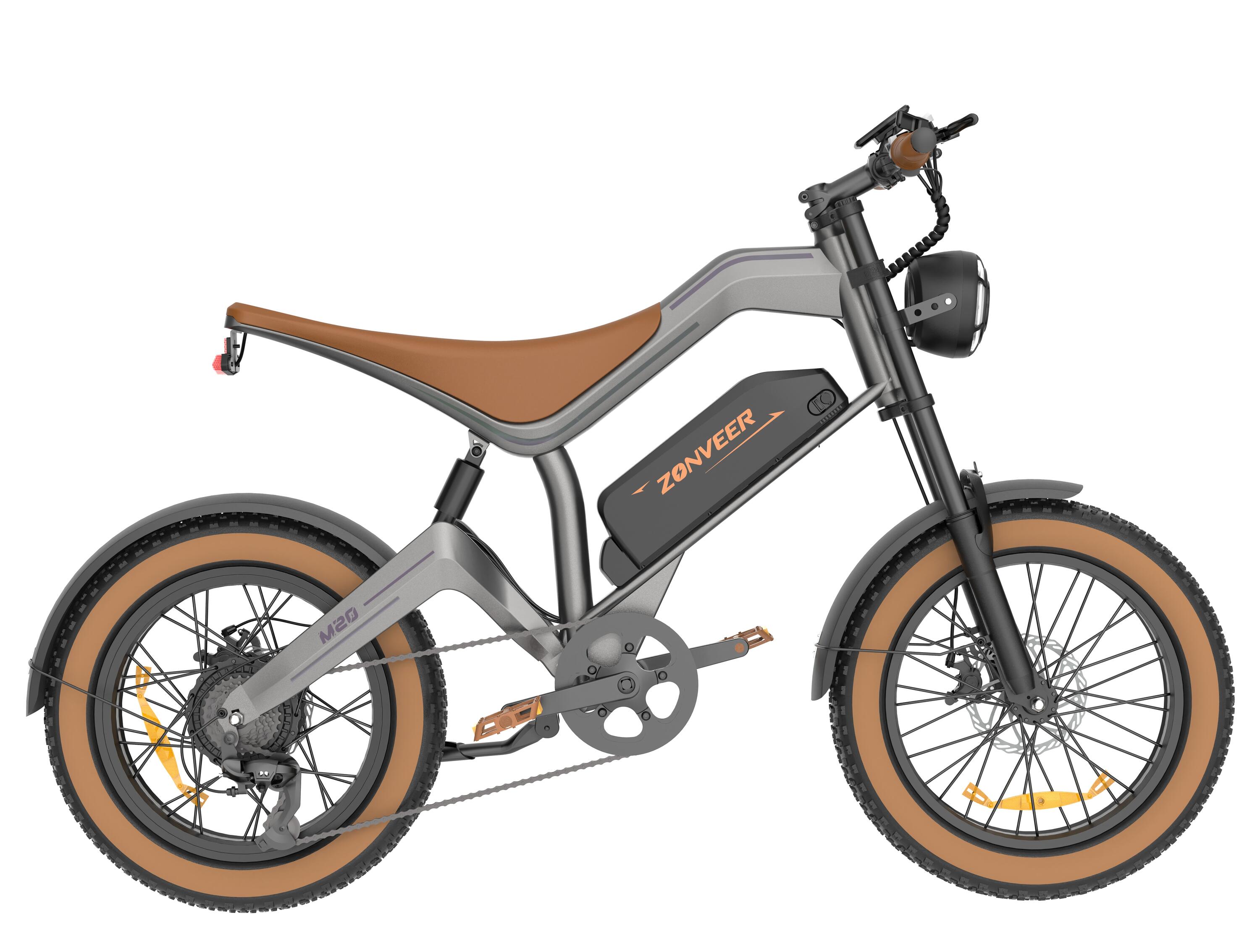 DYU M20 elektrische fiets voor volwassenen – dikke banden, schijfremmen 4/15
