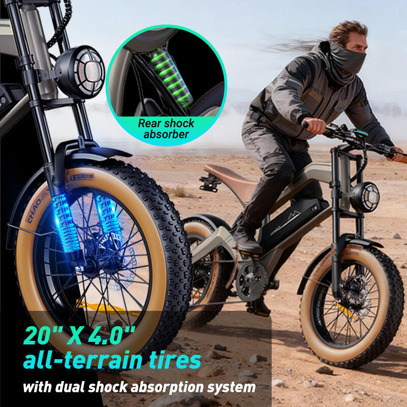 DYU M20 elektrische fiets voor volwassenen – dikke banden, schijfremmen 13/15