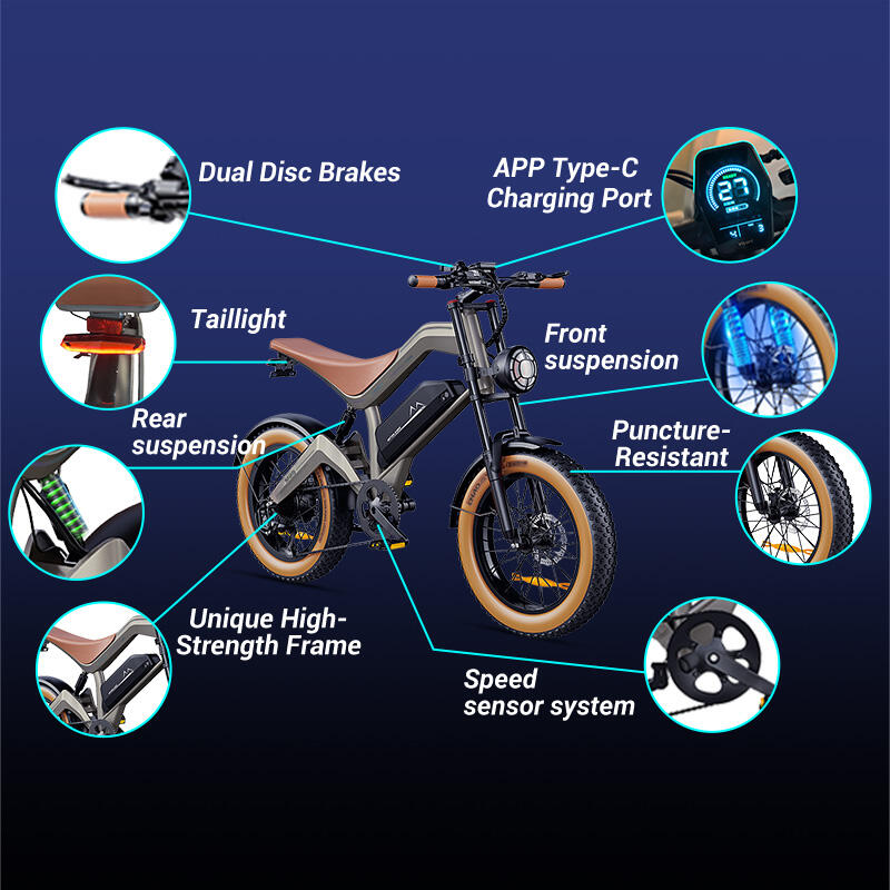 DYU M20 elektrische fiets voor volwassenen – dikke banden, schijfremmen 12/15