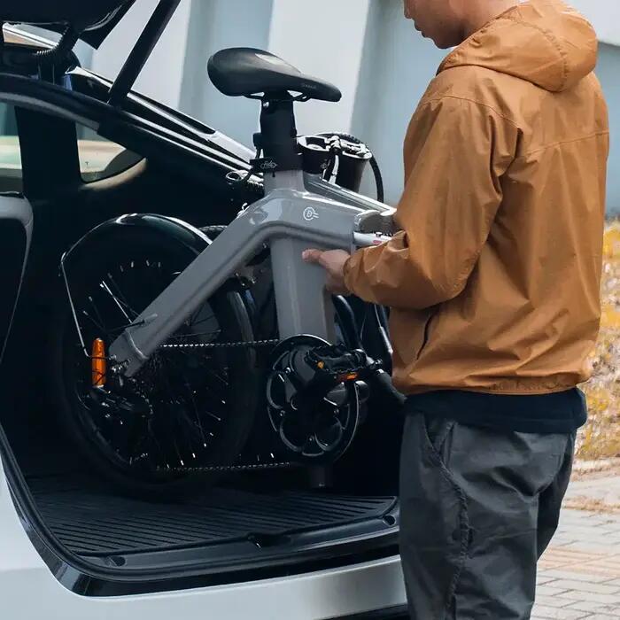 Bicicleta Elétrica Fiido D11 - 250W - Cinza 5/7