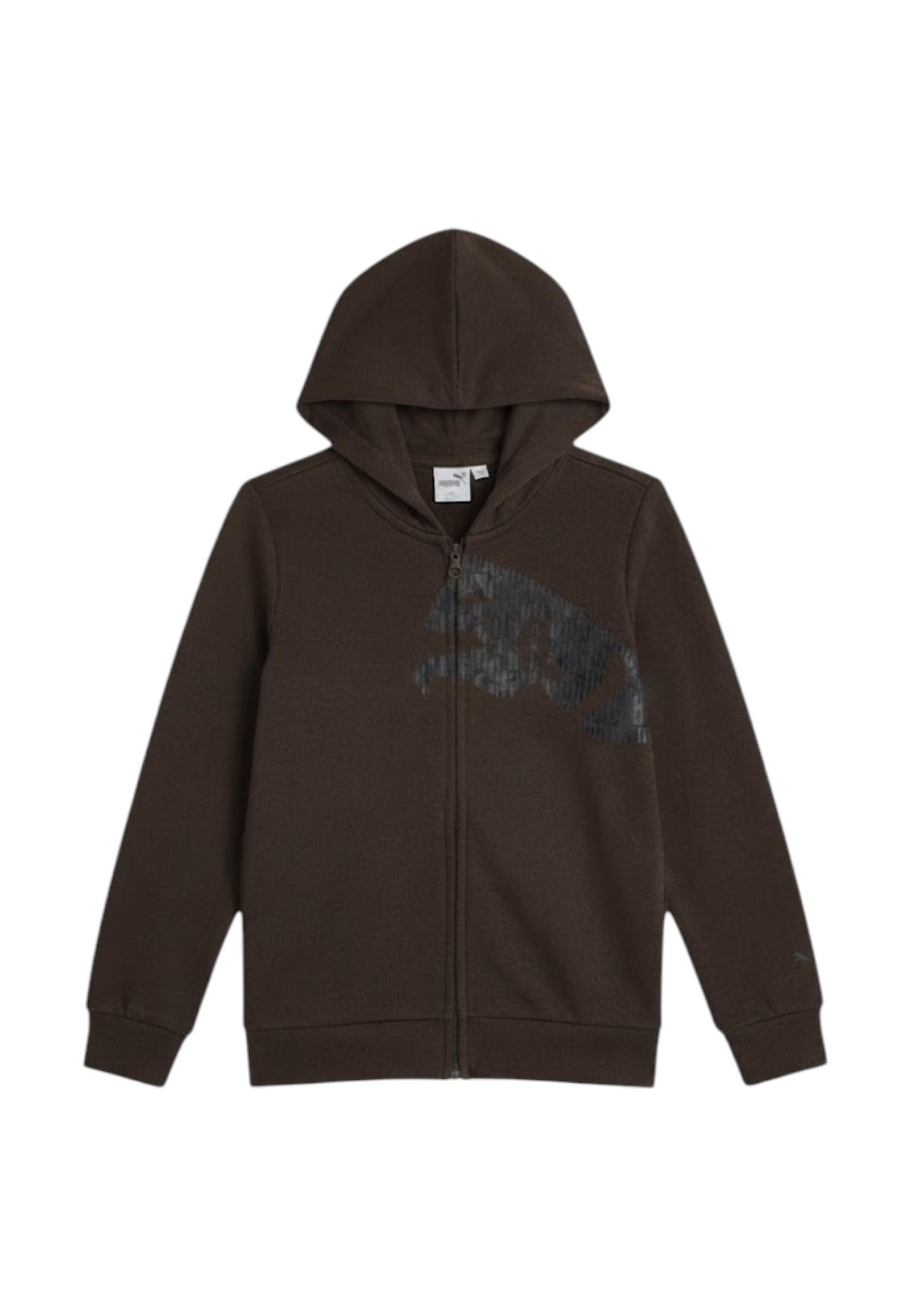 ESS GRAP FULL-ZIP HO COL 33 4/4
