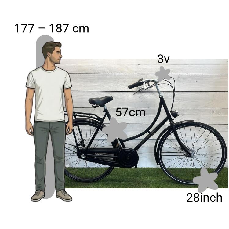 Bicicletta usata BSP 2/4