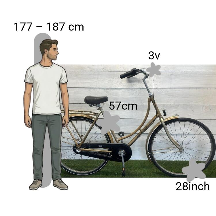 Tweedehands Gazelle Basic 2/4