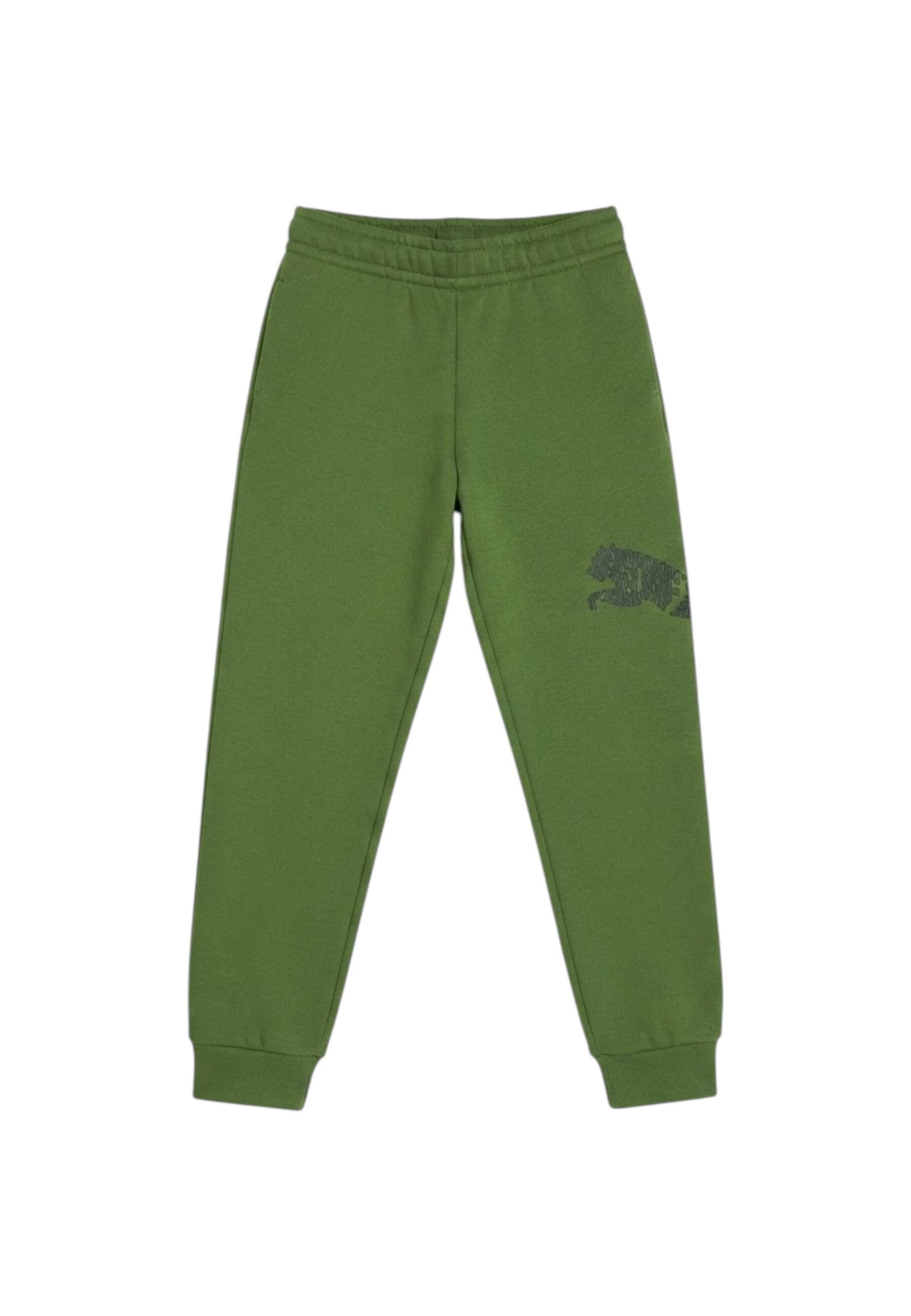 ESS GRAP PANTS TR COL 68 4/4