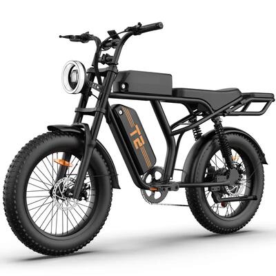 Elektrische fiets - lange afstand - heren - t2 - zwart