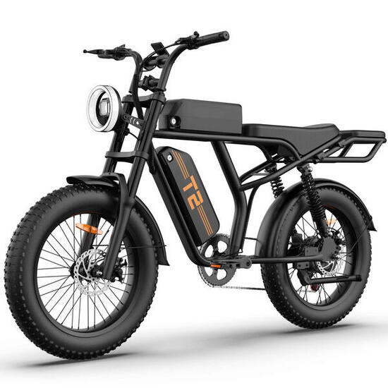 Herren - Urban Long-Distance - E-Bike - 250W, 48V15.6Ah, 20"x4.0" - Schwarz