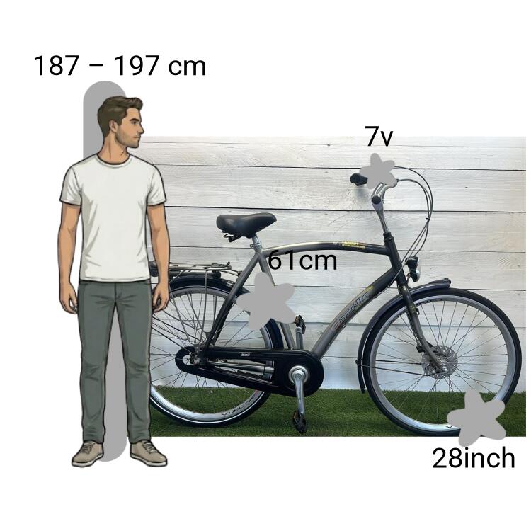 Bicicletta usata Gazelle Sky Drive 2/4