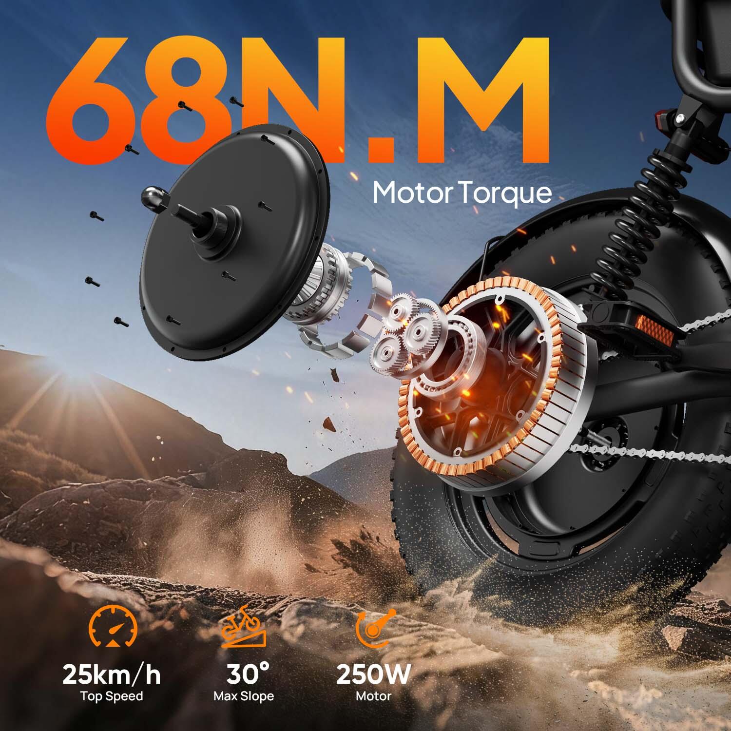 Vélo électrique - Double suspension 250W 48V13Ah - T16 - Noir 2/7