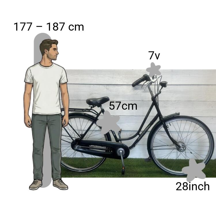Tweedehands Gazelle Impala 2/4