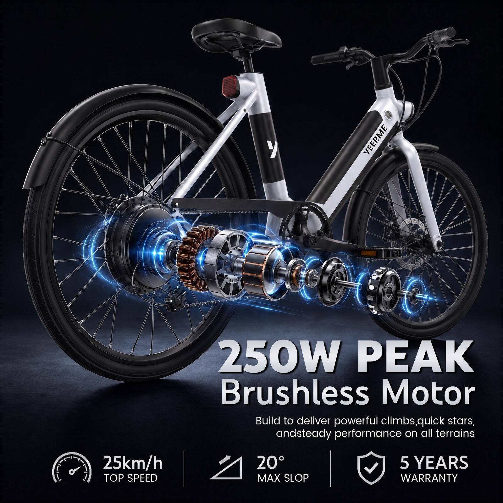 Bicicletta elettrica 26" 250W 345Wh 60 Km 7 velocità DAY PLUS 2 telaio basso 2/8