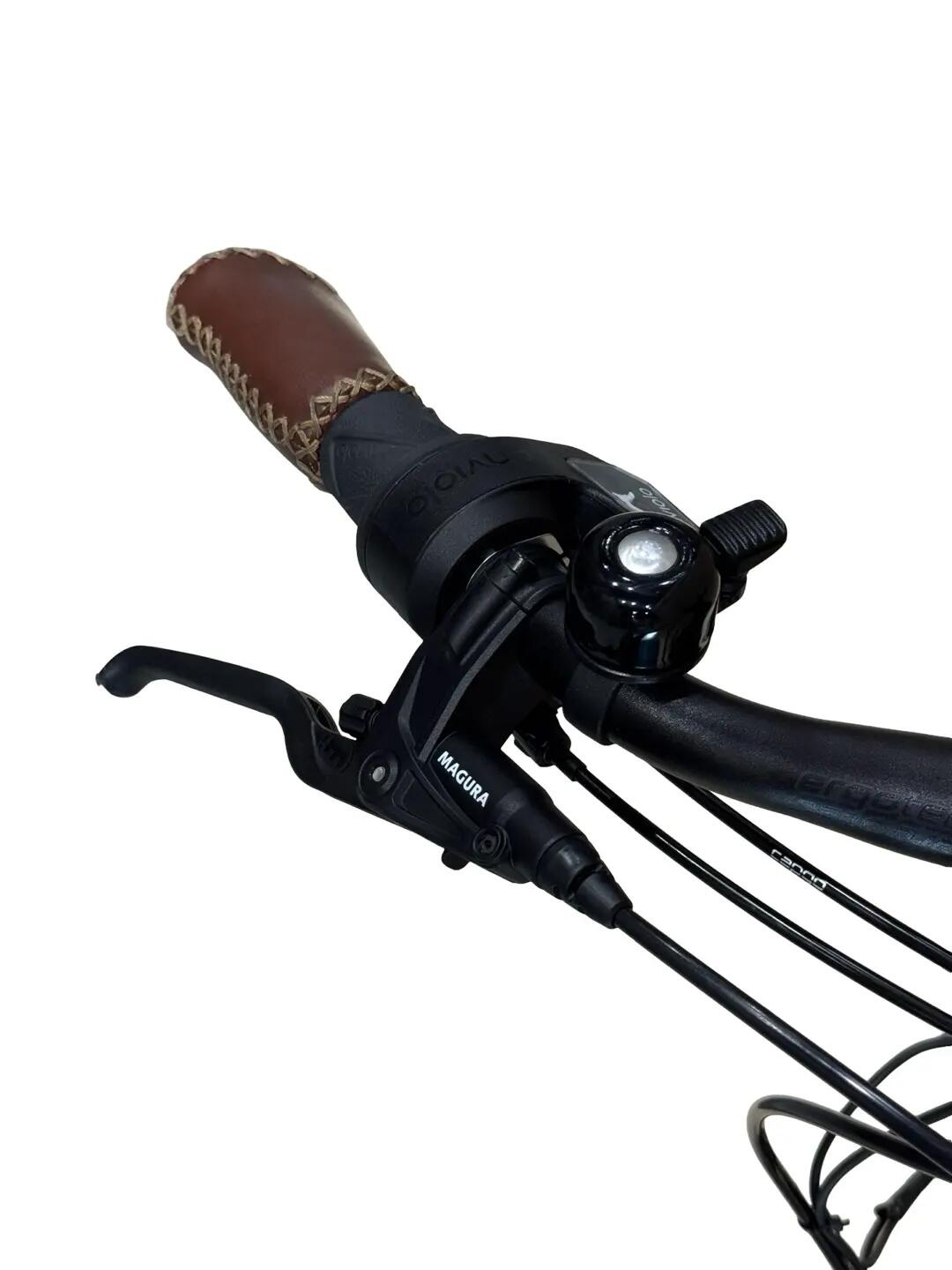 Ricondizionata -Bici elettriche Riese & Müller Cruiser2 Mixte - Stato eccellente 5/12