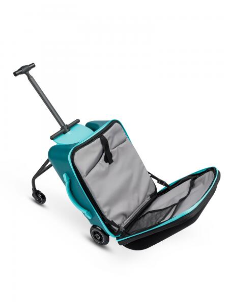 Luggage Eazy - Vert Forêt 2/7