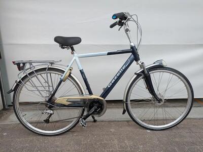Gazelle medeo