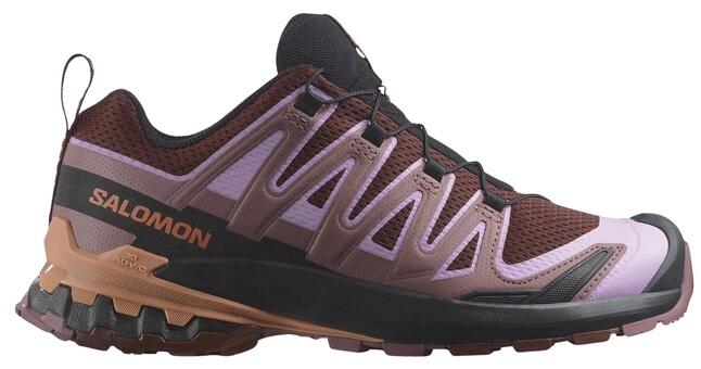 SALOMON picture