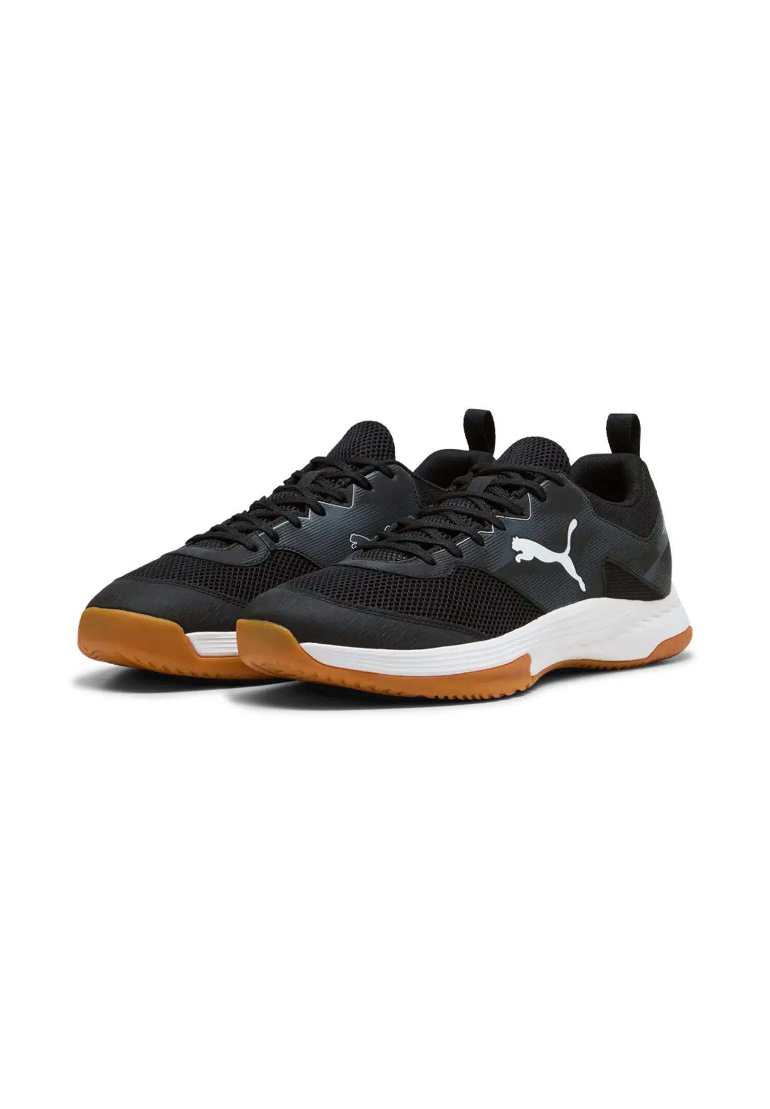 PUMA picture