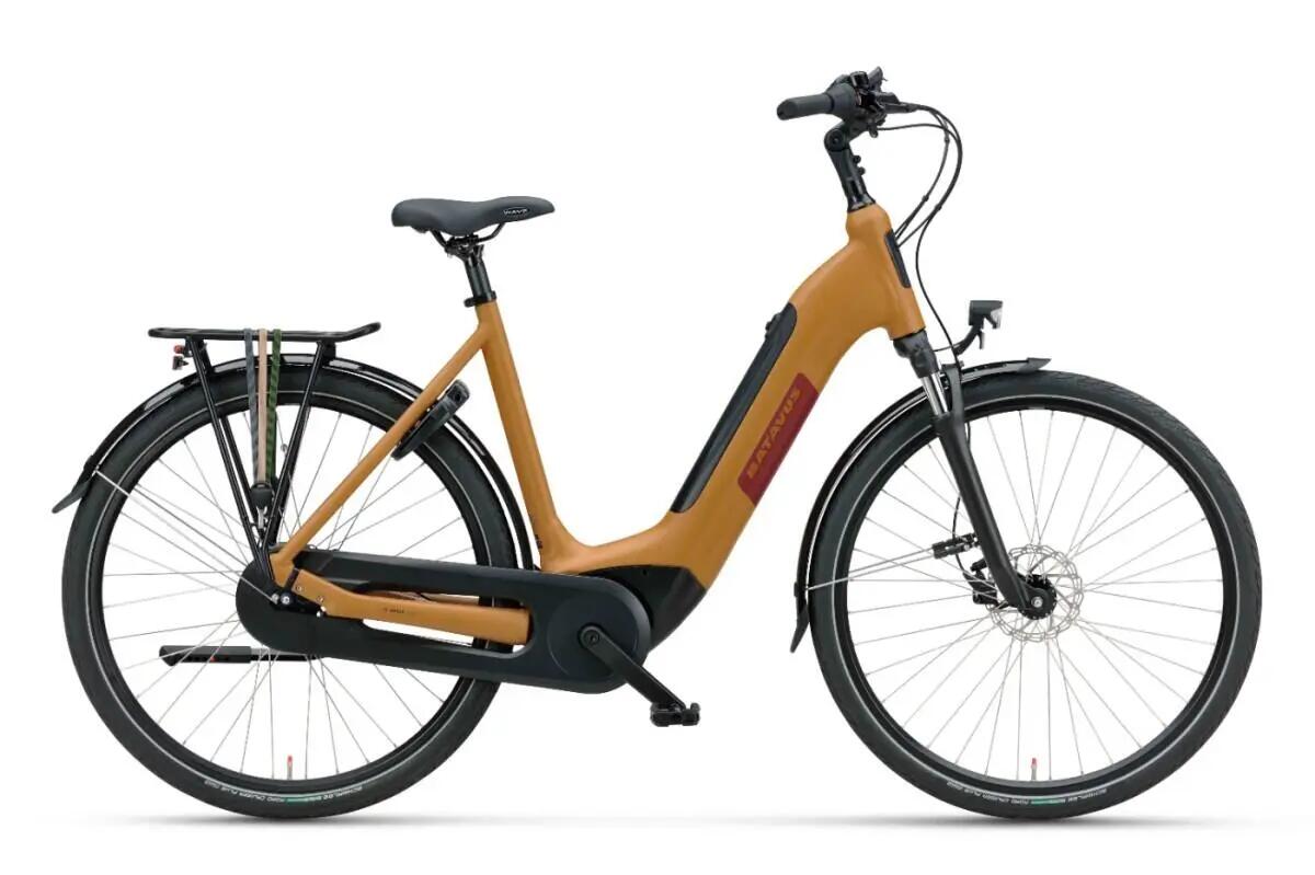 BATAVUS picture