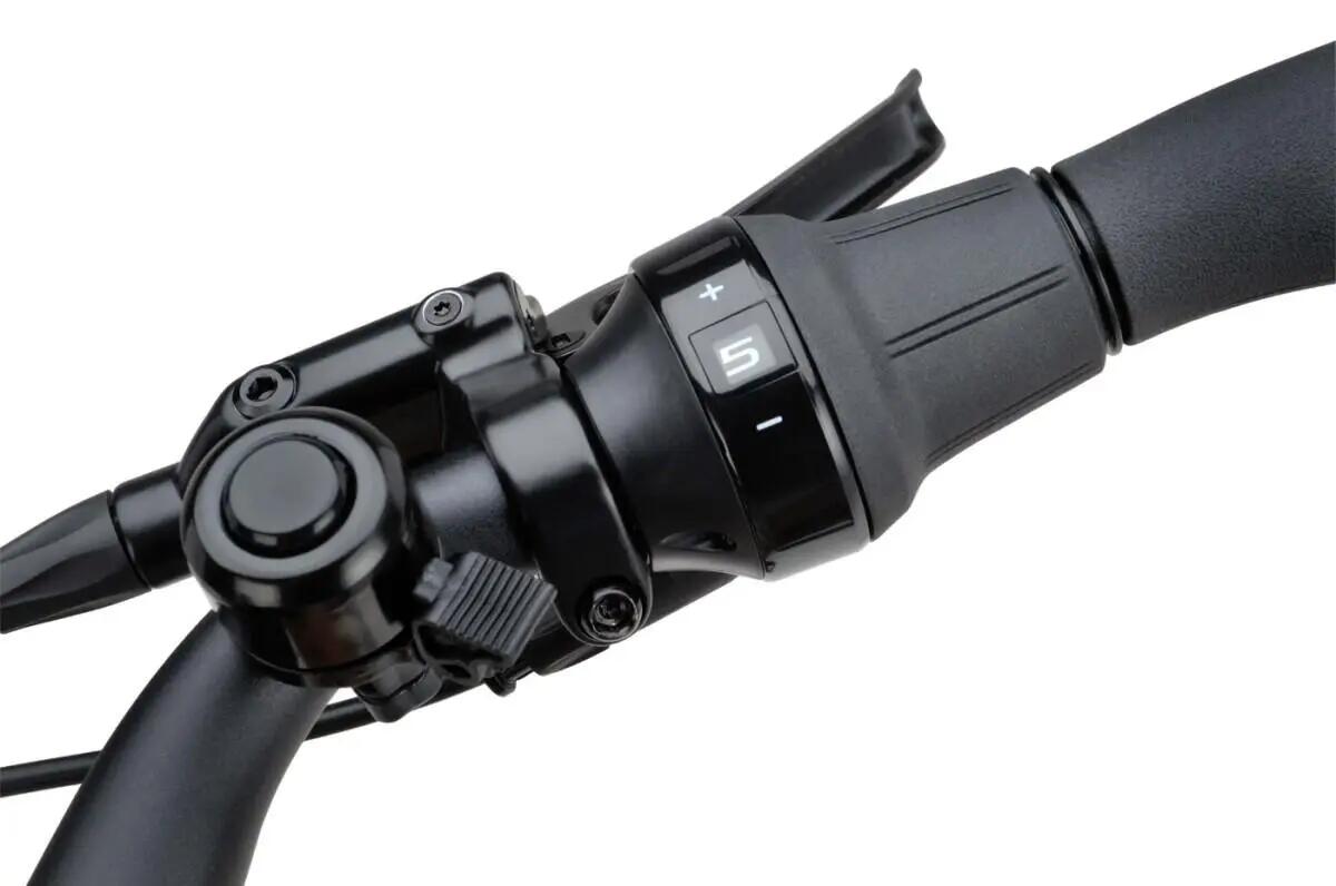 Batavus Altura E-go Power Pro U56 400Wh, zwart 6/7