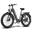 Bicicletă electrică FAFREES F26 ROVER, baterie 48V 20AH, motor 250W