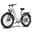 Bicicletă electrică FAFREES F26 ROVER, baterie 48V 20AH, motor 250W