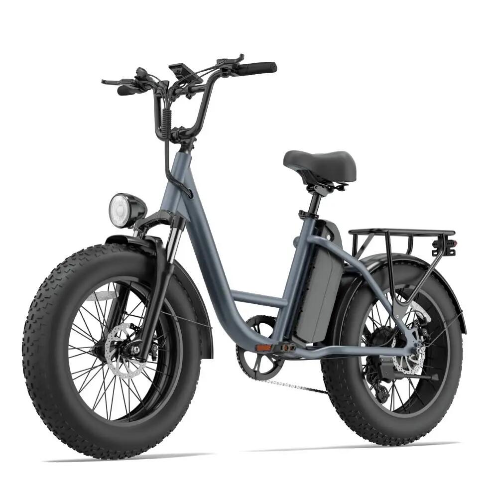 Electric Bicycle For Adult URLIFE E20 PRO 48V 15.6AH Battery 20" Tire