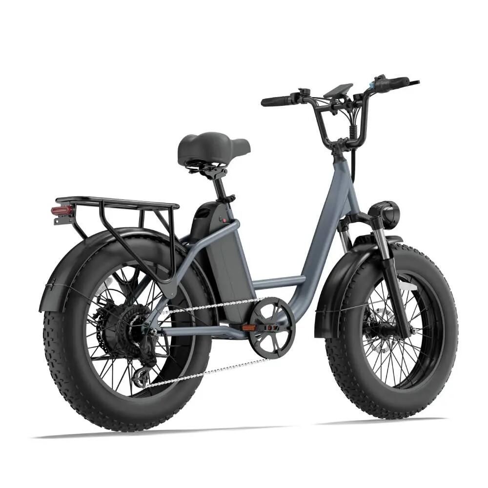 Bicicleta elétrica para adultos URLIFE E20 PRO Bateria 48V 15.6AH 6/15
