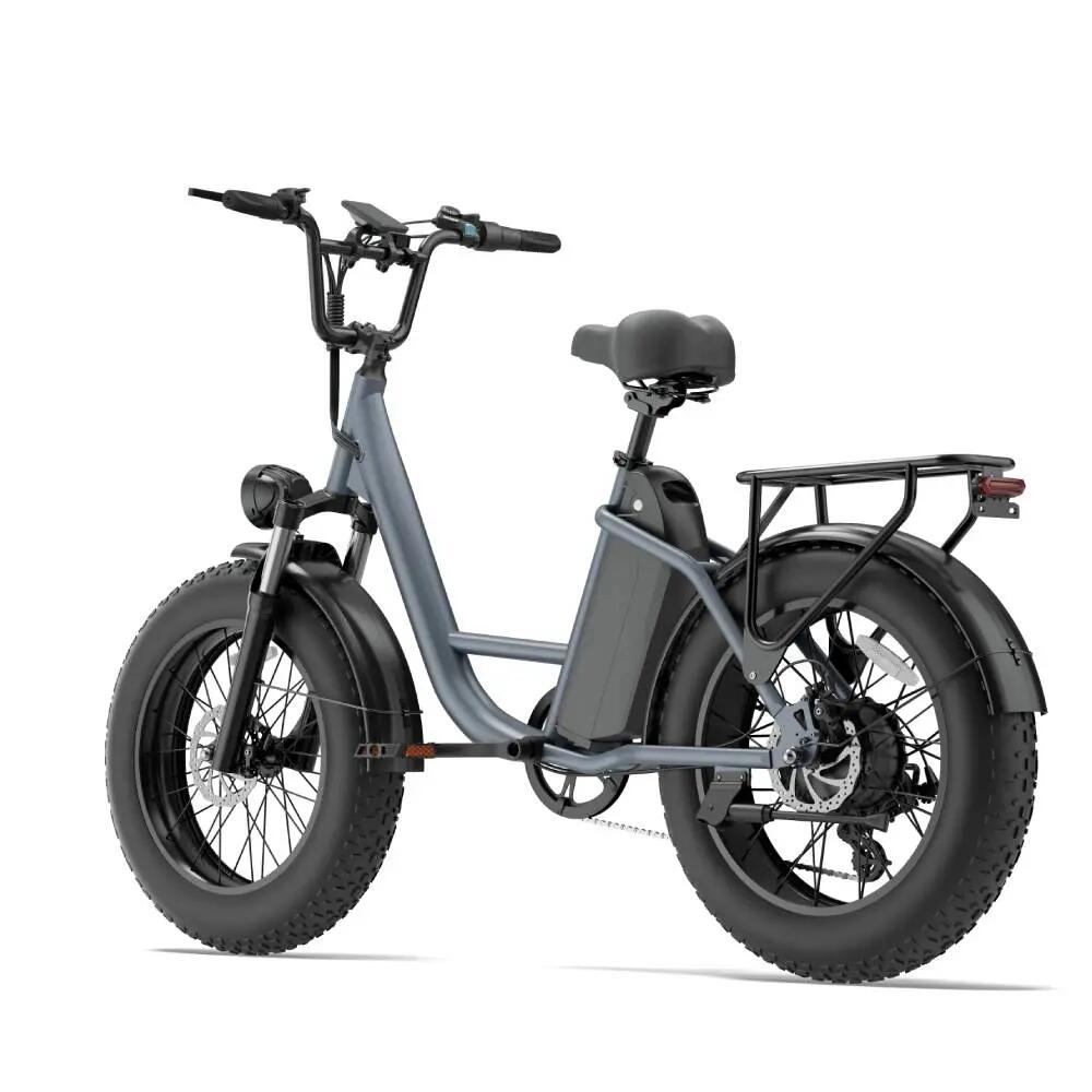 Bicicleta elétrica para adultos URLIFE E20 PRO Bateria 48V 15.6AH 5/15