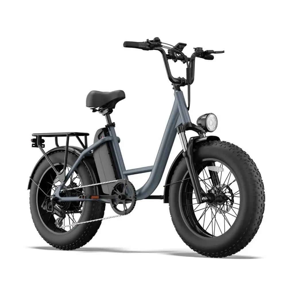 URLIFE E20 PRO E-bike adulți48V 15,6Ah roți off-road 20"4,0"