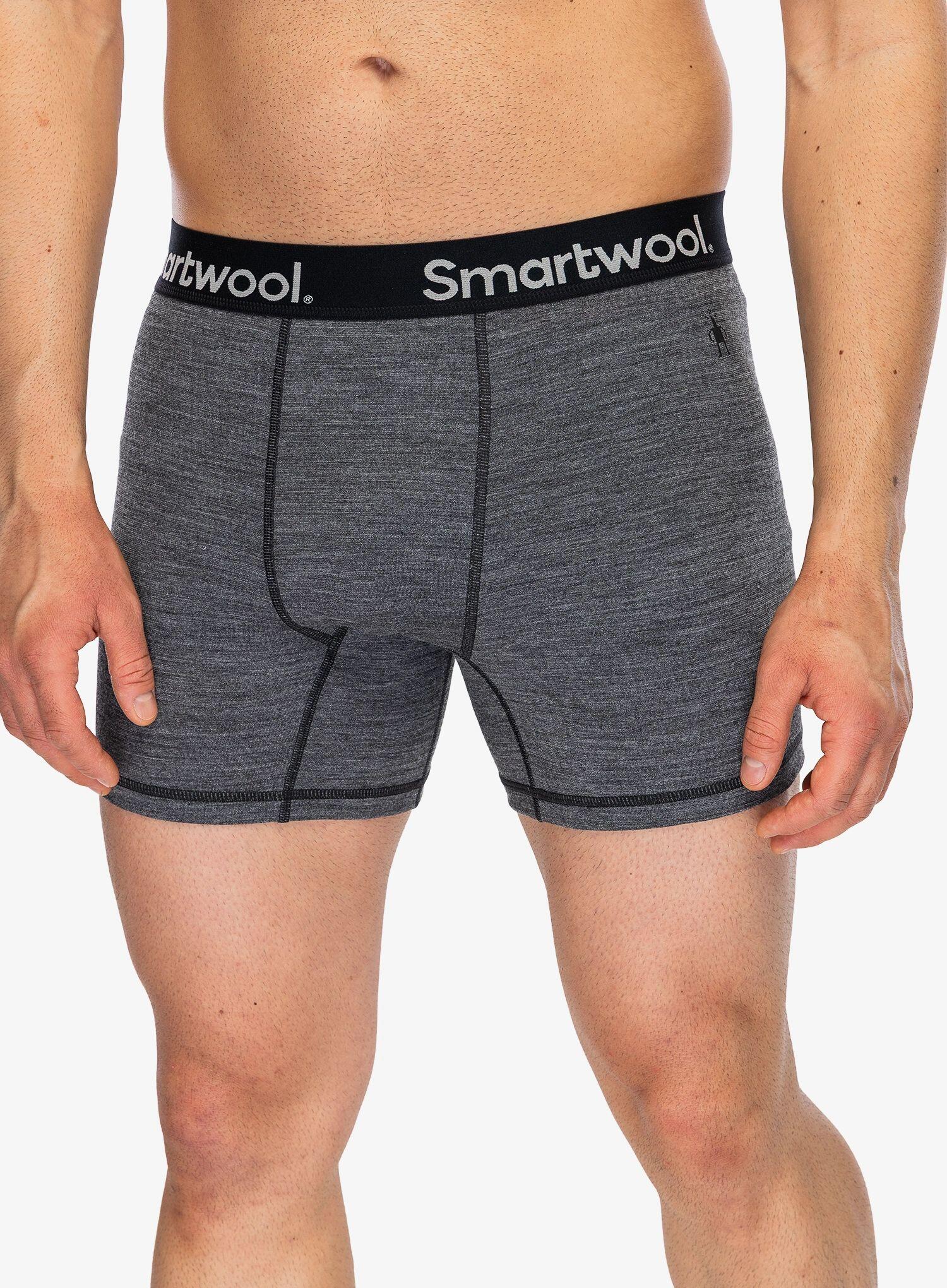 Caleçon thermique homme Smartwool Brief Boxed 5/5
