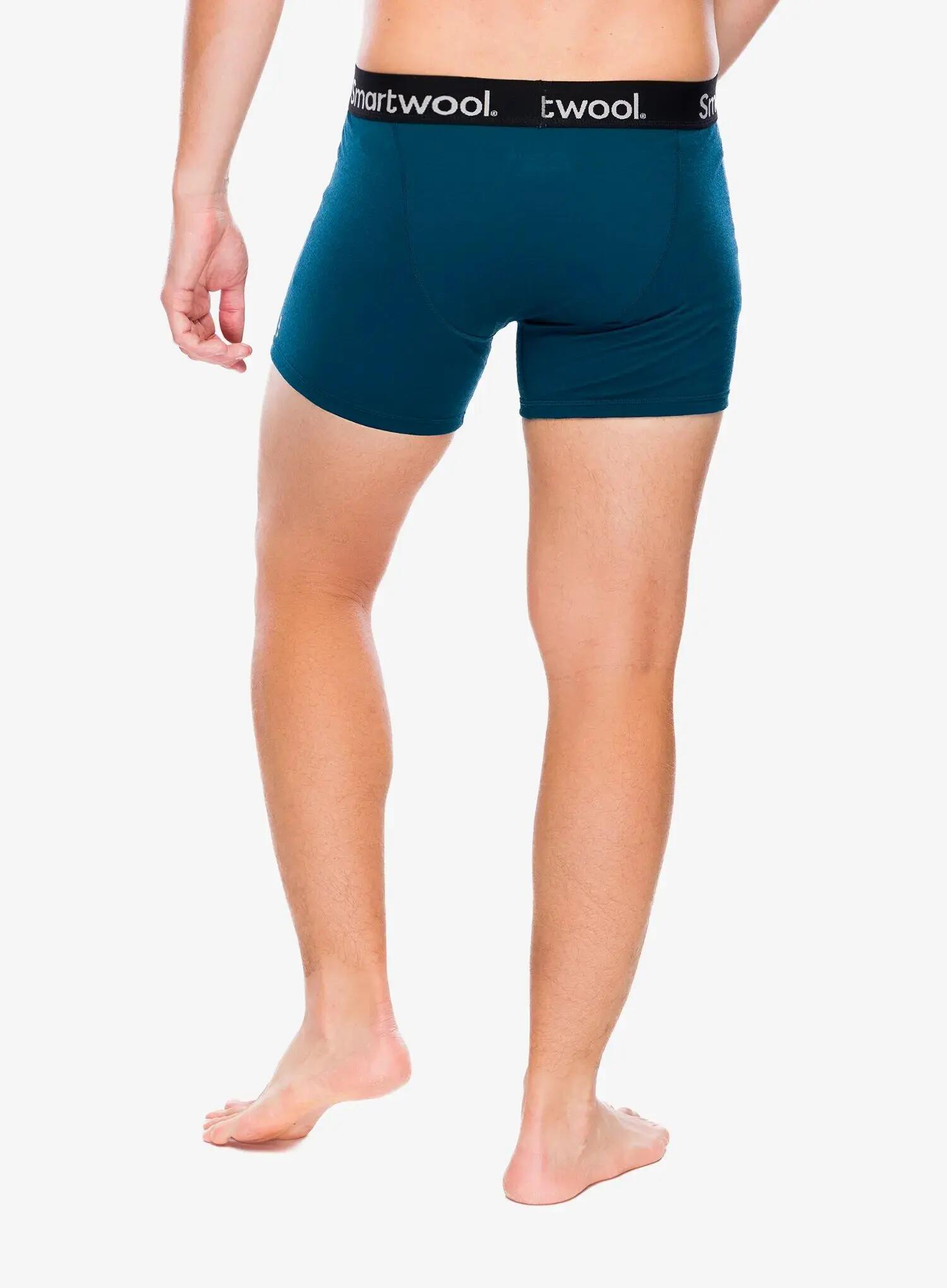 Bokserki termoaktywne Smartwool Active Boxer Brief Boxed 2/5