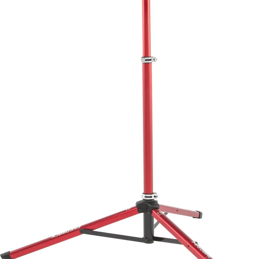 Pro Mechanic kickstand