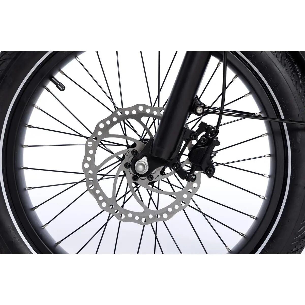 Cargobike Elettrica Compactail, SHIMANO 7v, fino a 100 km, Batteria 48V15Ah 12/15