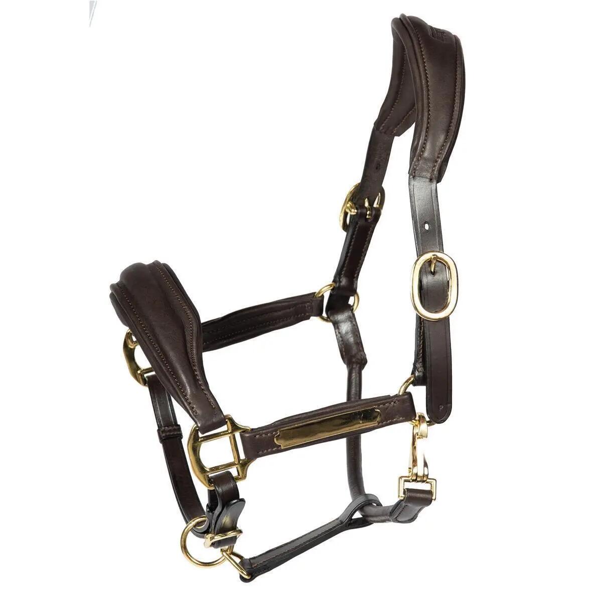 Hans Melzer Halfter Radolfzell braun/messing Pony 1/1