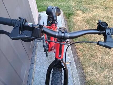 Entre Particuliers - VTT pour enfants 20 pouces